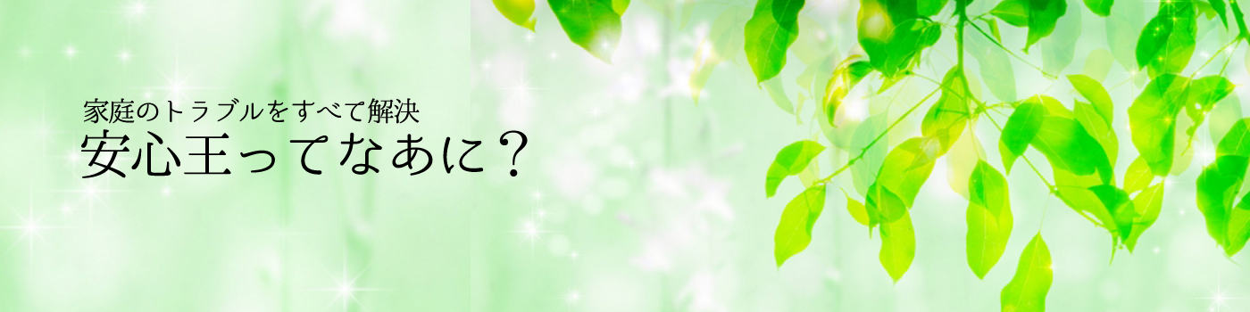 家庭のトラブルをすべて解決 安心王ってなぁに?