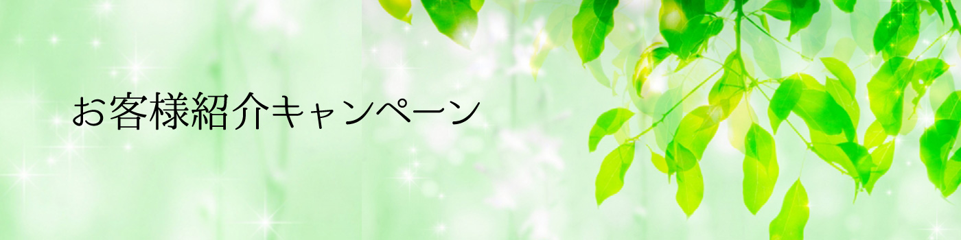 安心王プランのご紹介