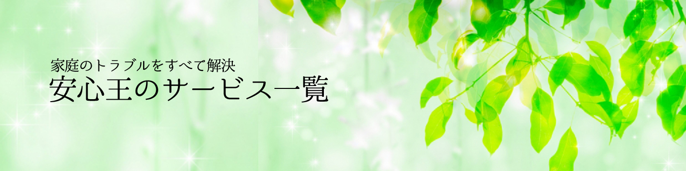 家庭のトラブルをすべて解決 安心王のサービス一覧