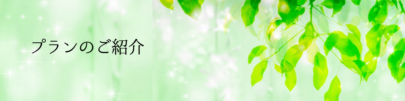 安心王プランのご紹介