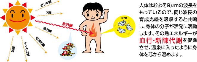 身体の芯からぽかぽか