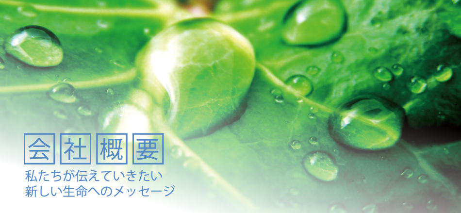 会社概要 私たちが伝えていきたい新しい生命へのメッセージ